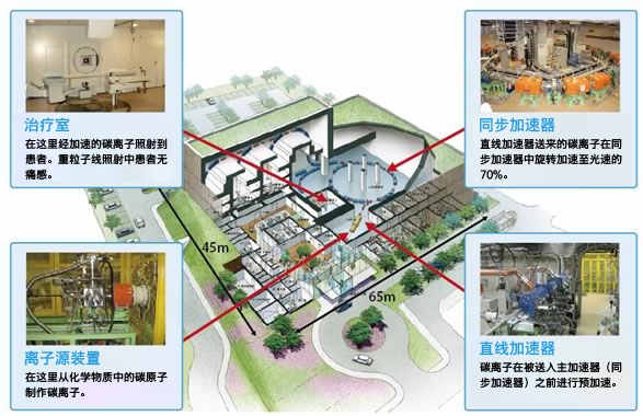 群马大学的重粒子线照射设施