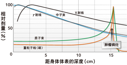 各种放射线在活体内的剂量分布