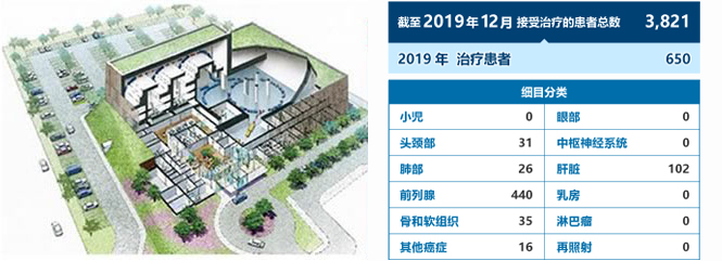 群马大学 重粒子线医学中心／各病症重粒子线治疗的病例数