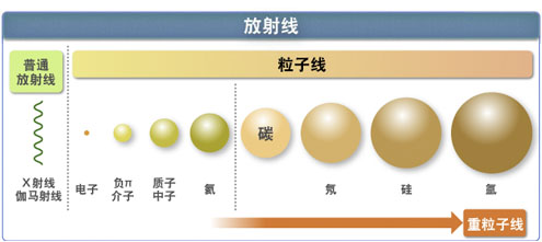 重粒子线治疗简介