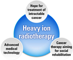 Expected effects of heavy ion radiotherapy