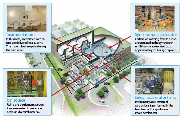 The heavy particle beam irradiation facility at Gunma University