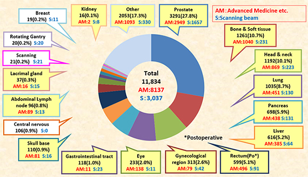 The number of patients enrolled in heavy ion radiotherapy at the QST Hospital (June 1994 to March 2019)