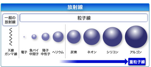 重粒子線とは