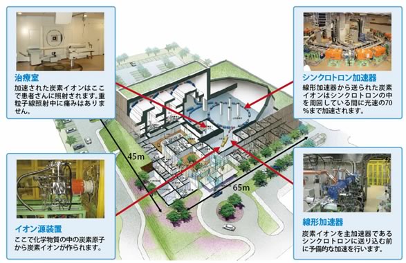 群馬大学の重粒子線照射施設