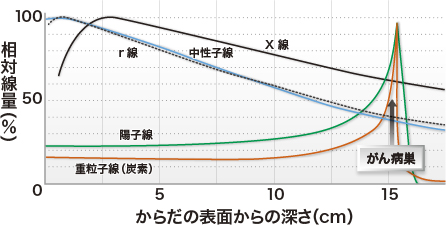 各種放射線の生体内における線量分布