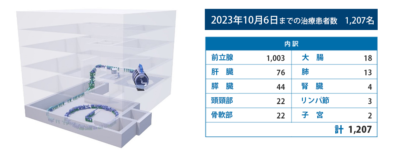 群馬大学　重粒子線医学センター　重粒子線治療疾患別件数