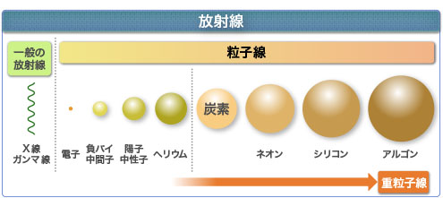 重粒子线治疗简介